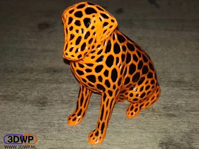 Dual Color Labrador