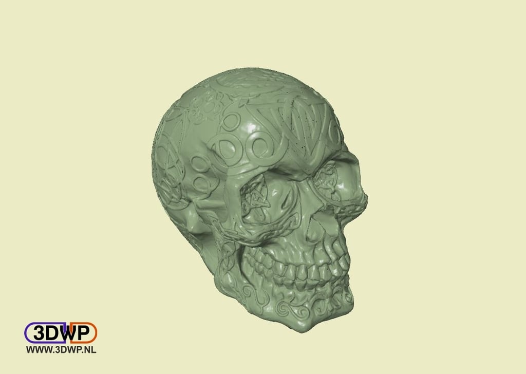 Celtic Skull (Hollow)