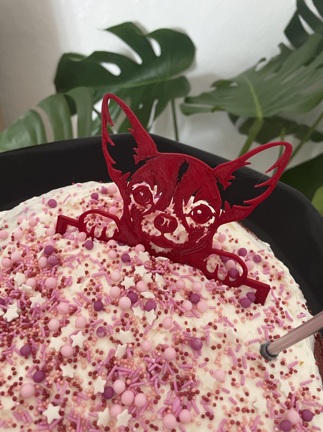 Chihuahua cake topper