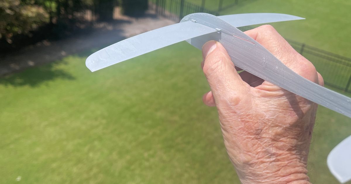 Low Poly Glider single print by PhDGoSlowAncient Download free STL