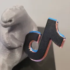 TikTok Magnetic Logo