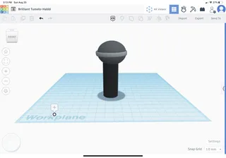Microphone