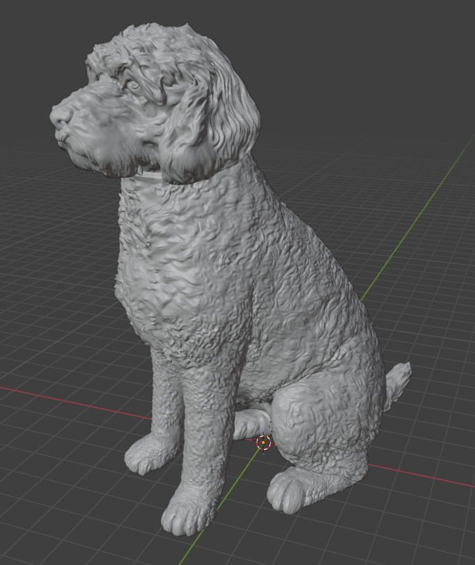 Dog Cockapoo sitting