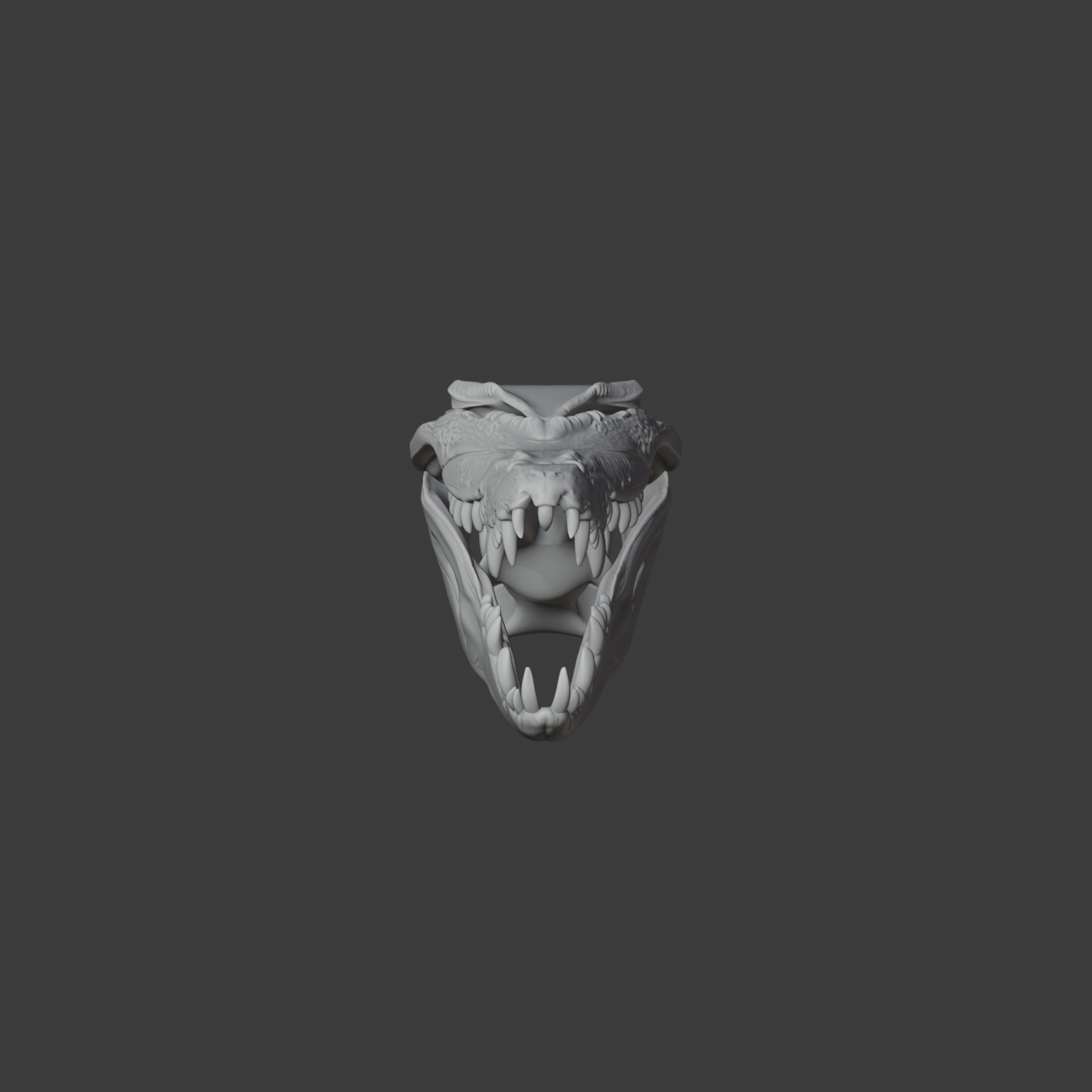 Crocodile Skull