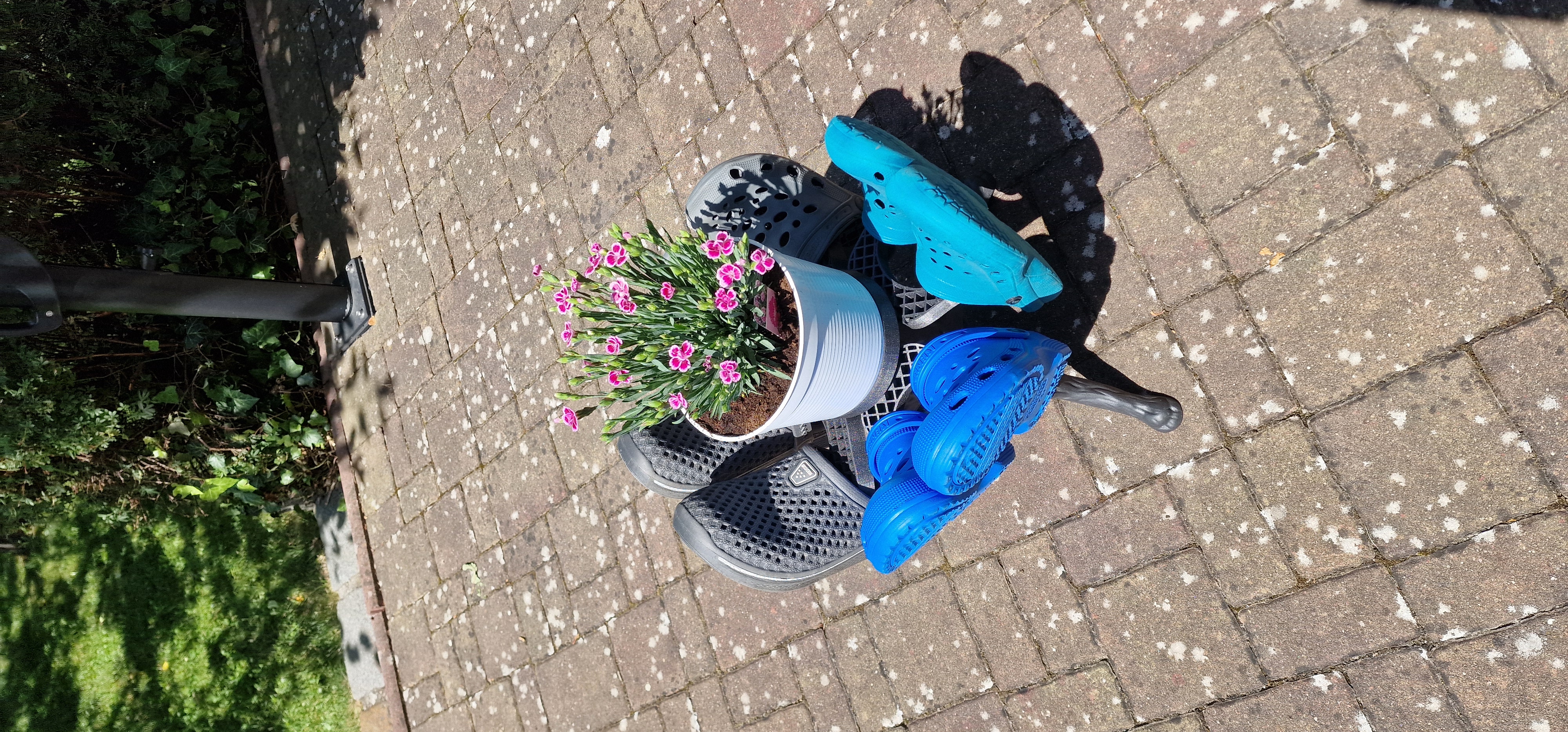 Crocs tree_Tlapkovník — miniatura 4