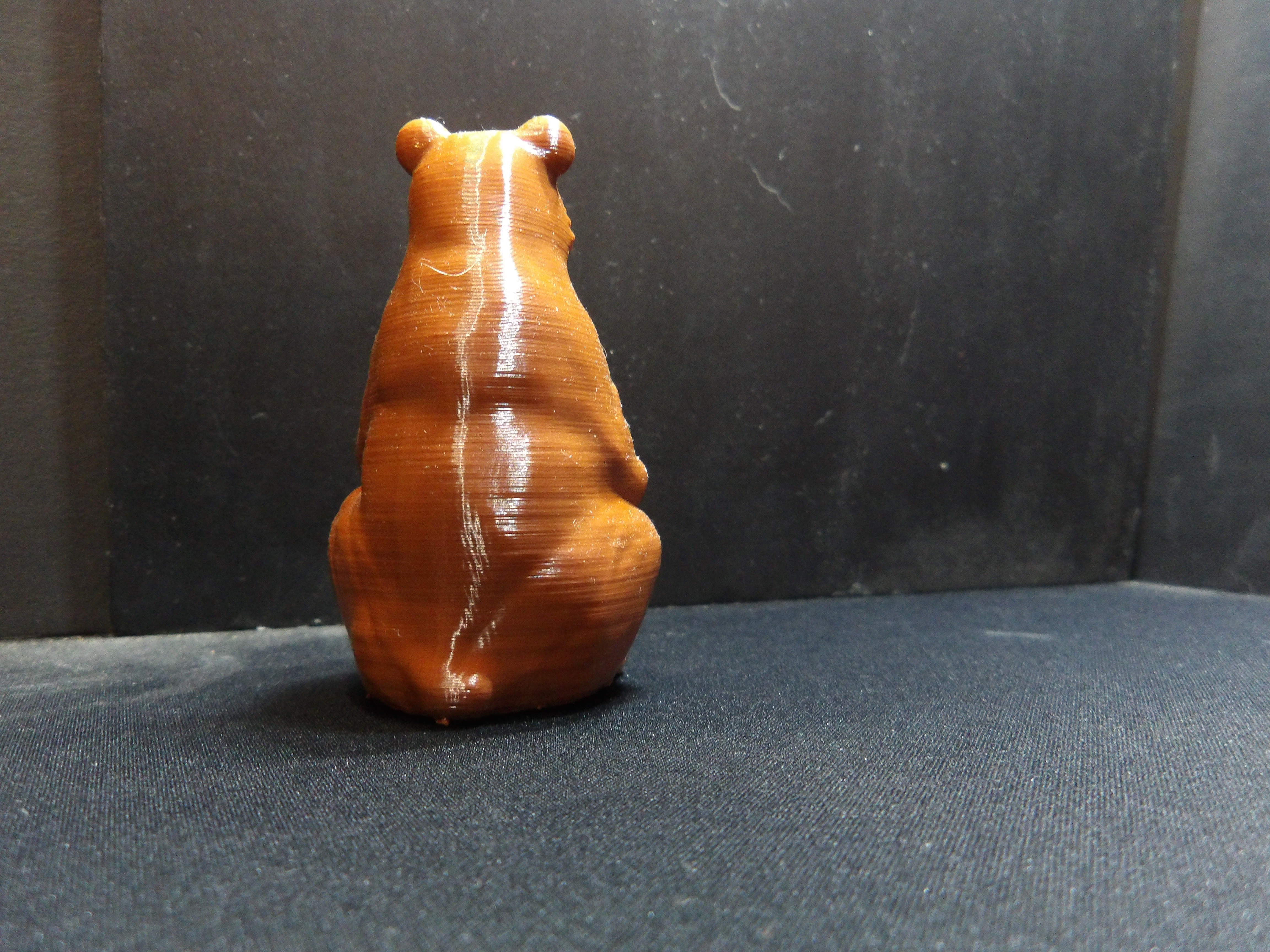 A Bear sitting up. — thumbnail 4