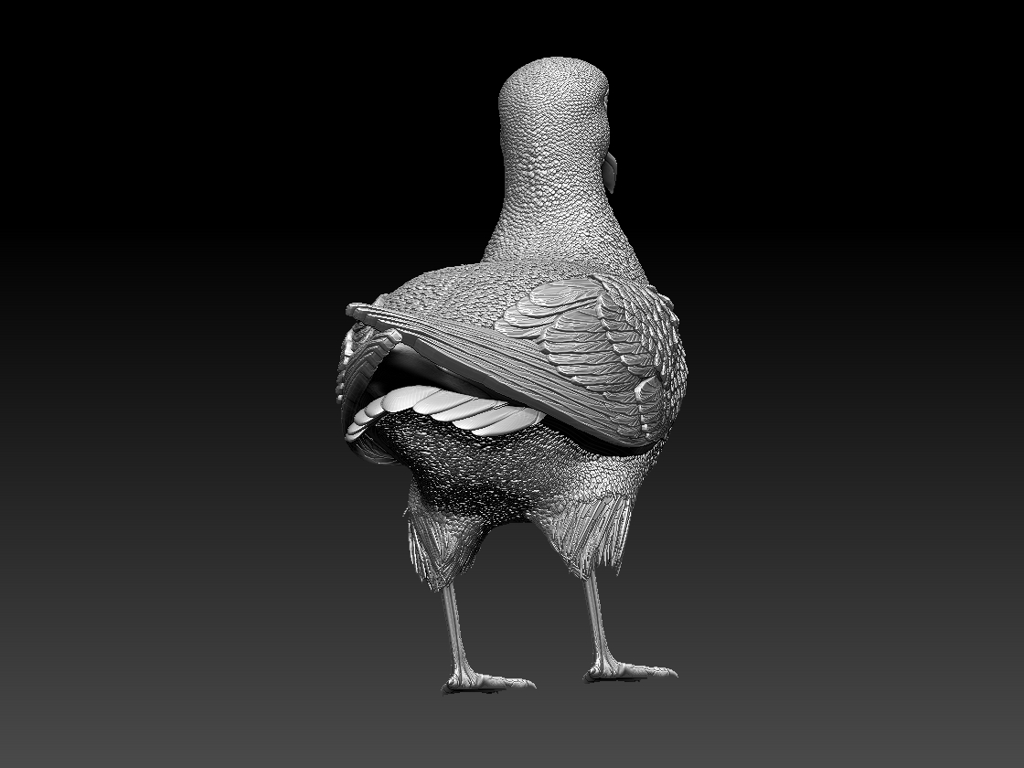 seagull — miniatura 6