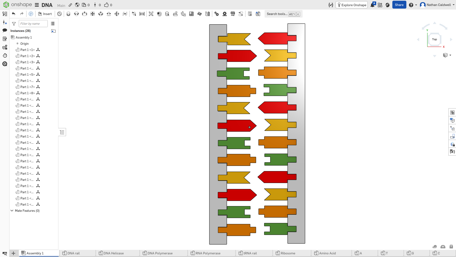 DNA model (Lego style)
