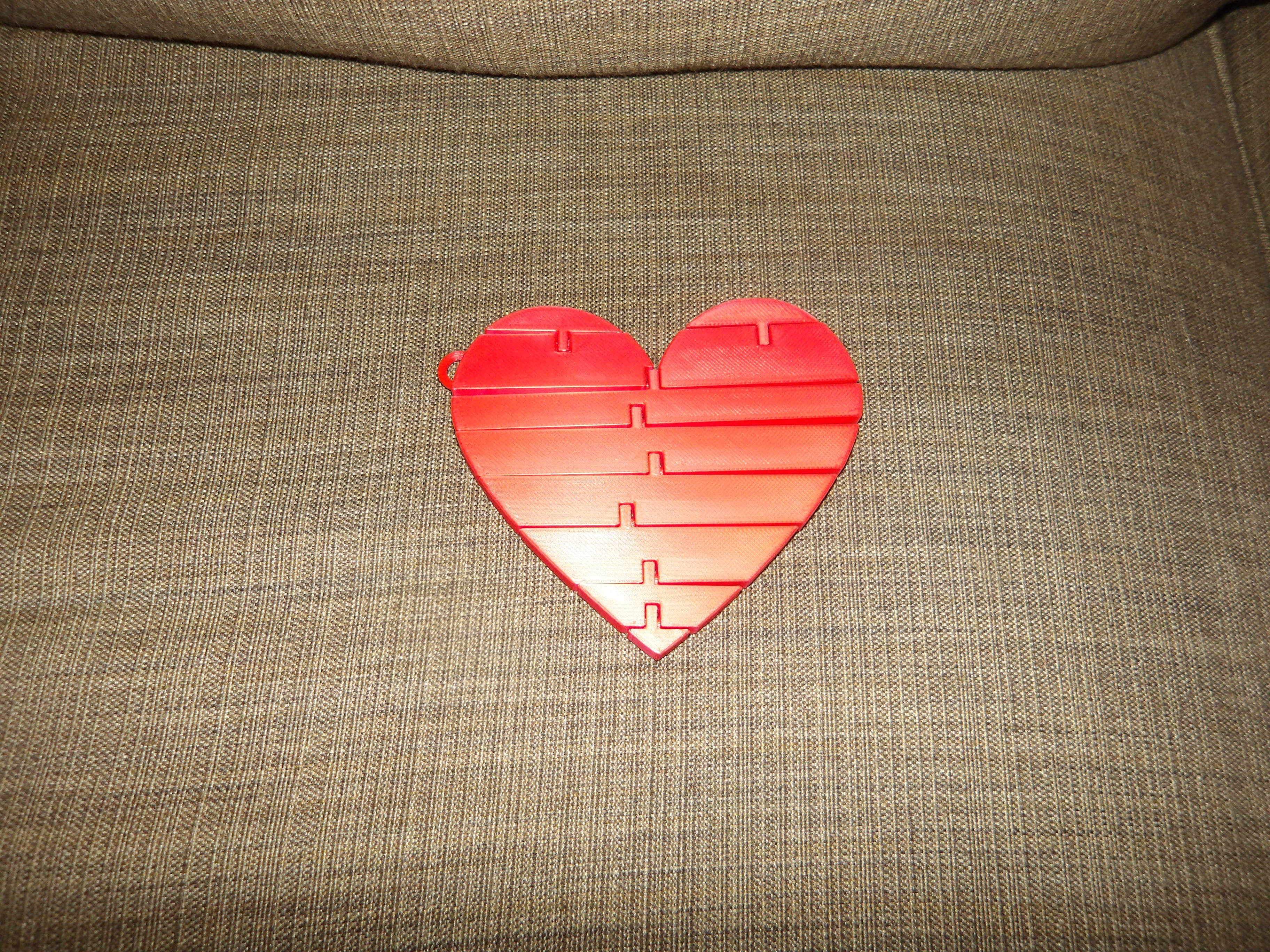 flexi heart 3D model
