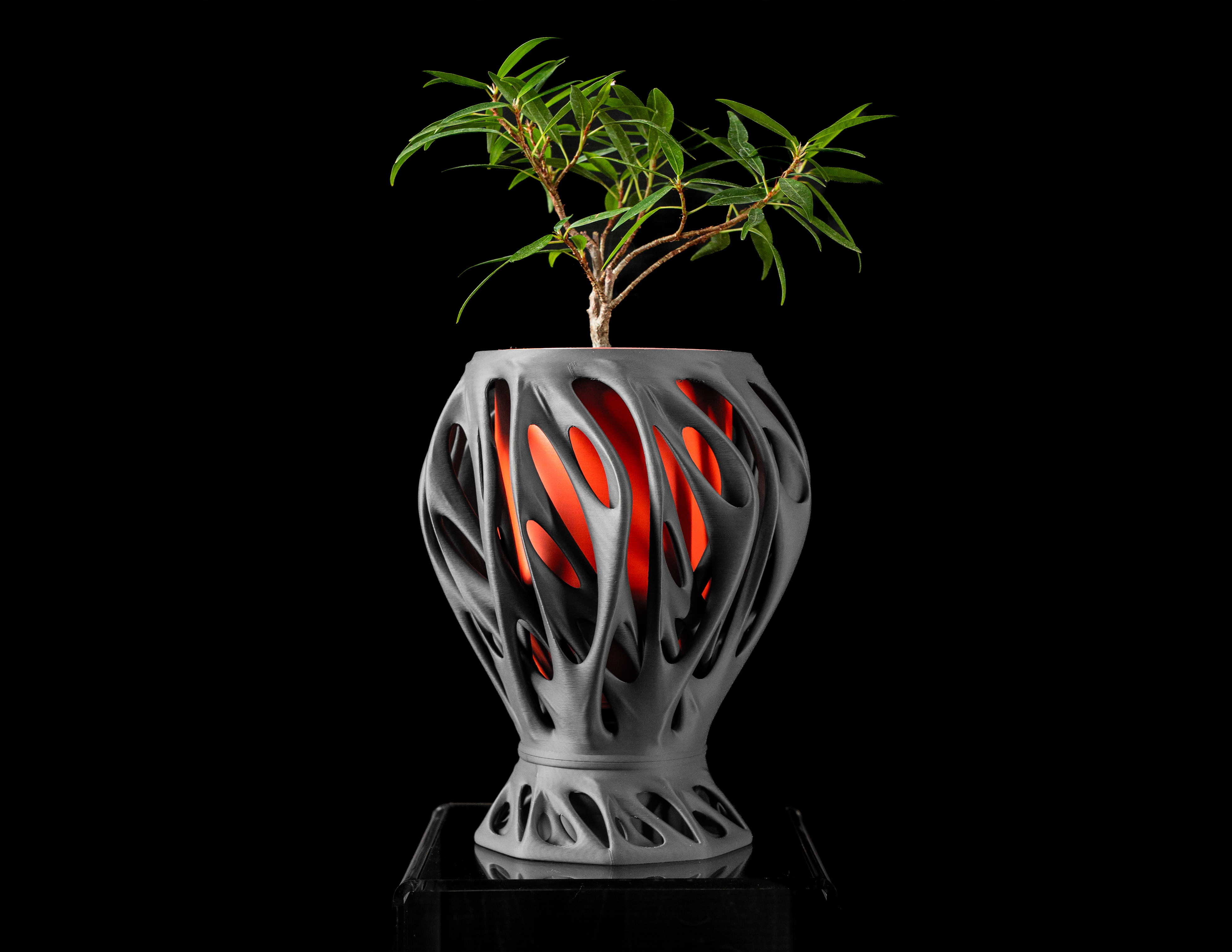 Mantis Planter Pot by MODERN MACHINE