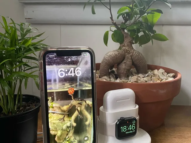 Apple 3 in 1 Charging Station