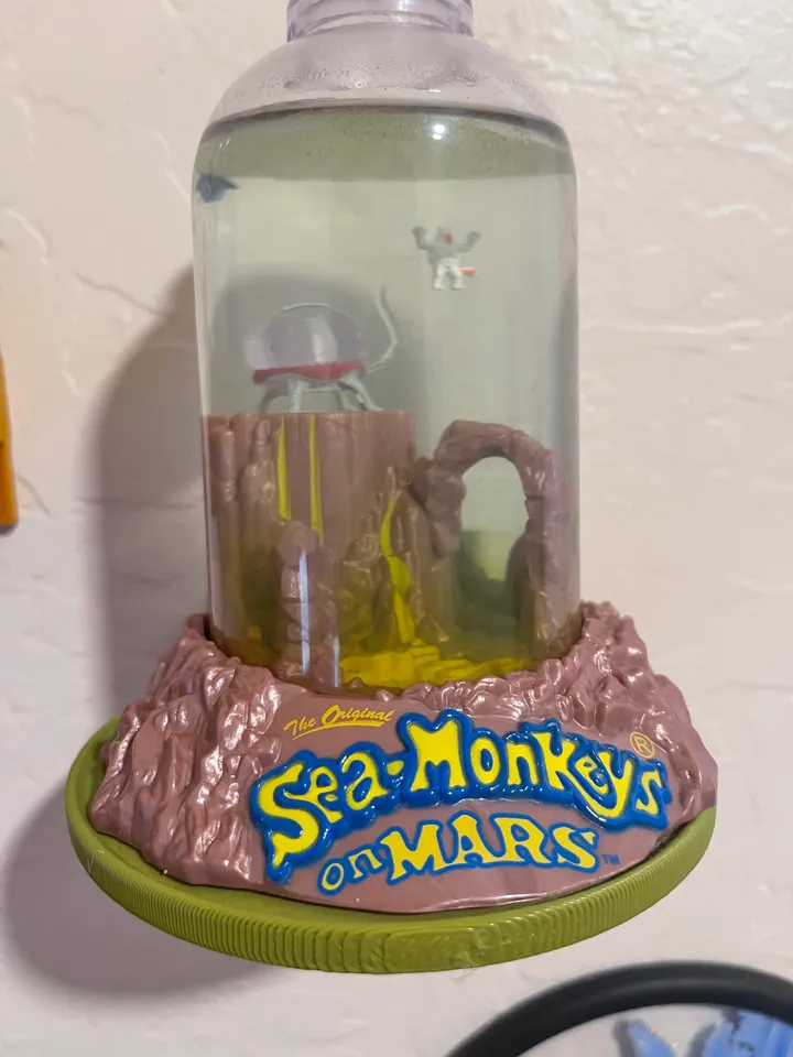 Real Sea Monkey
