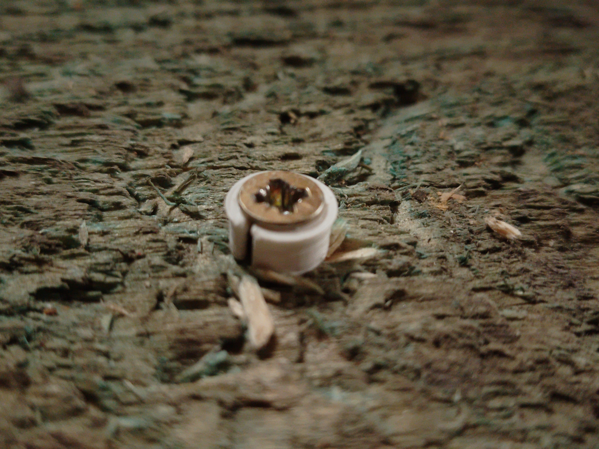 Screw stop