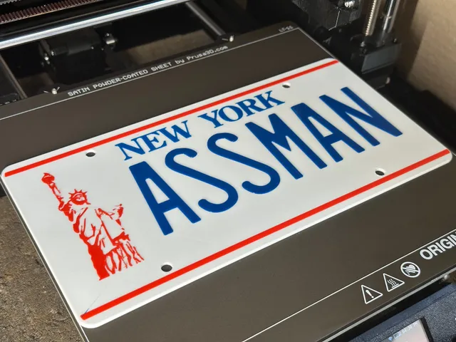 ASSMAN License Plate