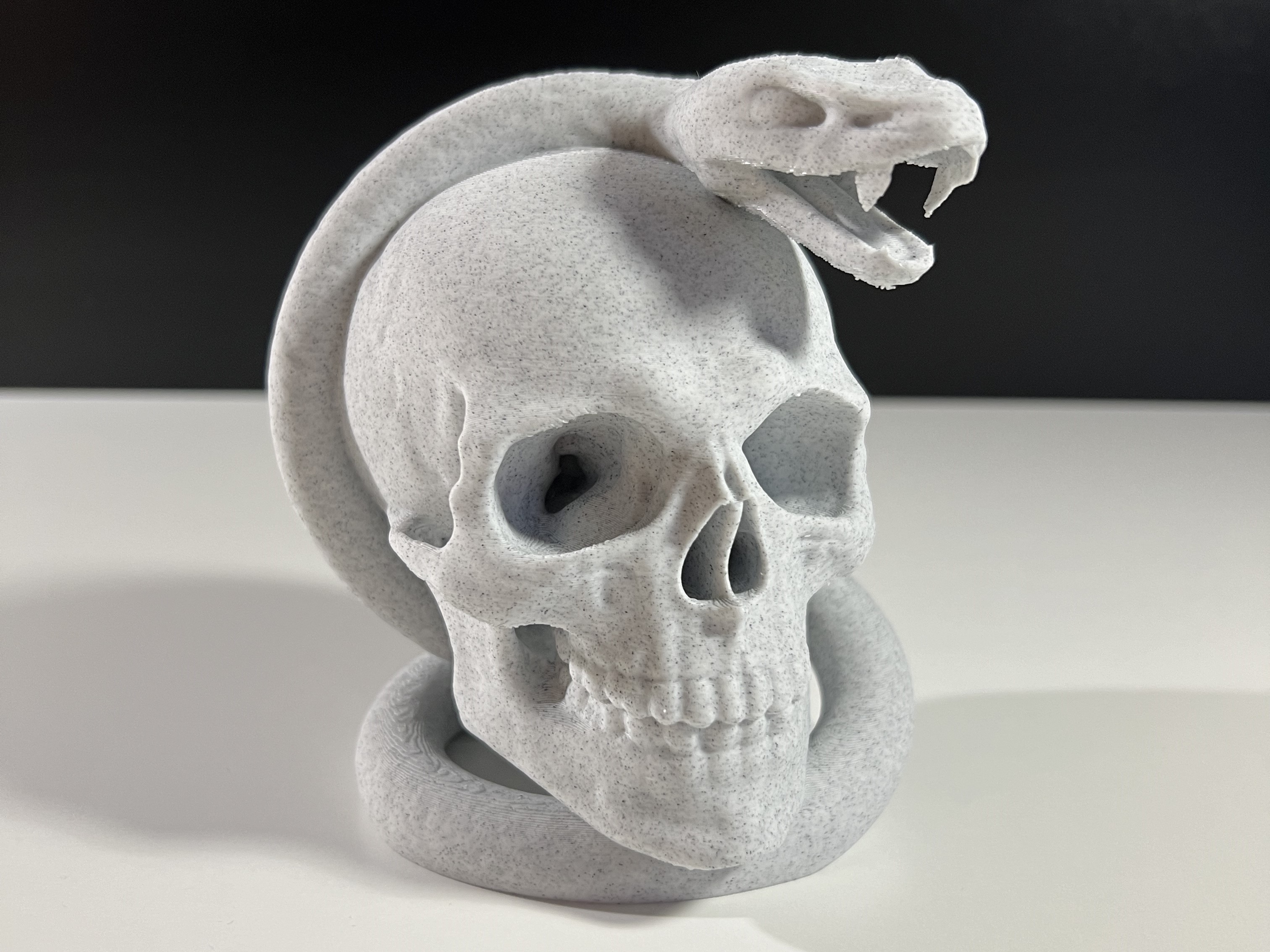 Skull with Snake
