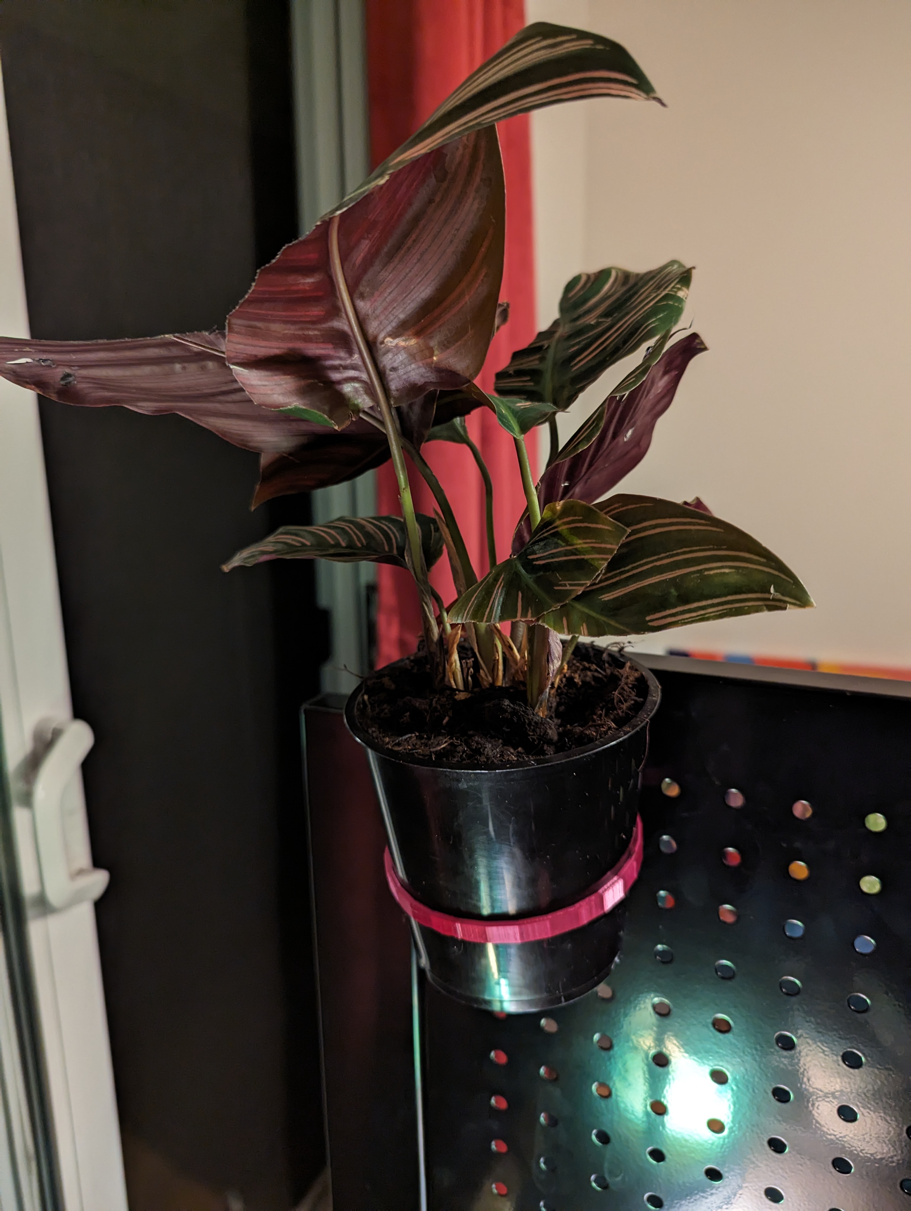 Peg Board Pot Holder by gary r Download free STL model