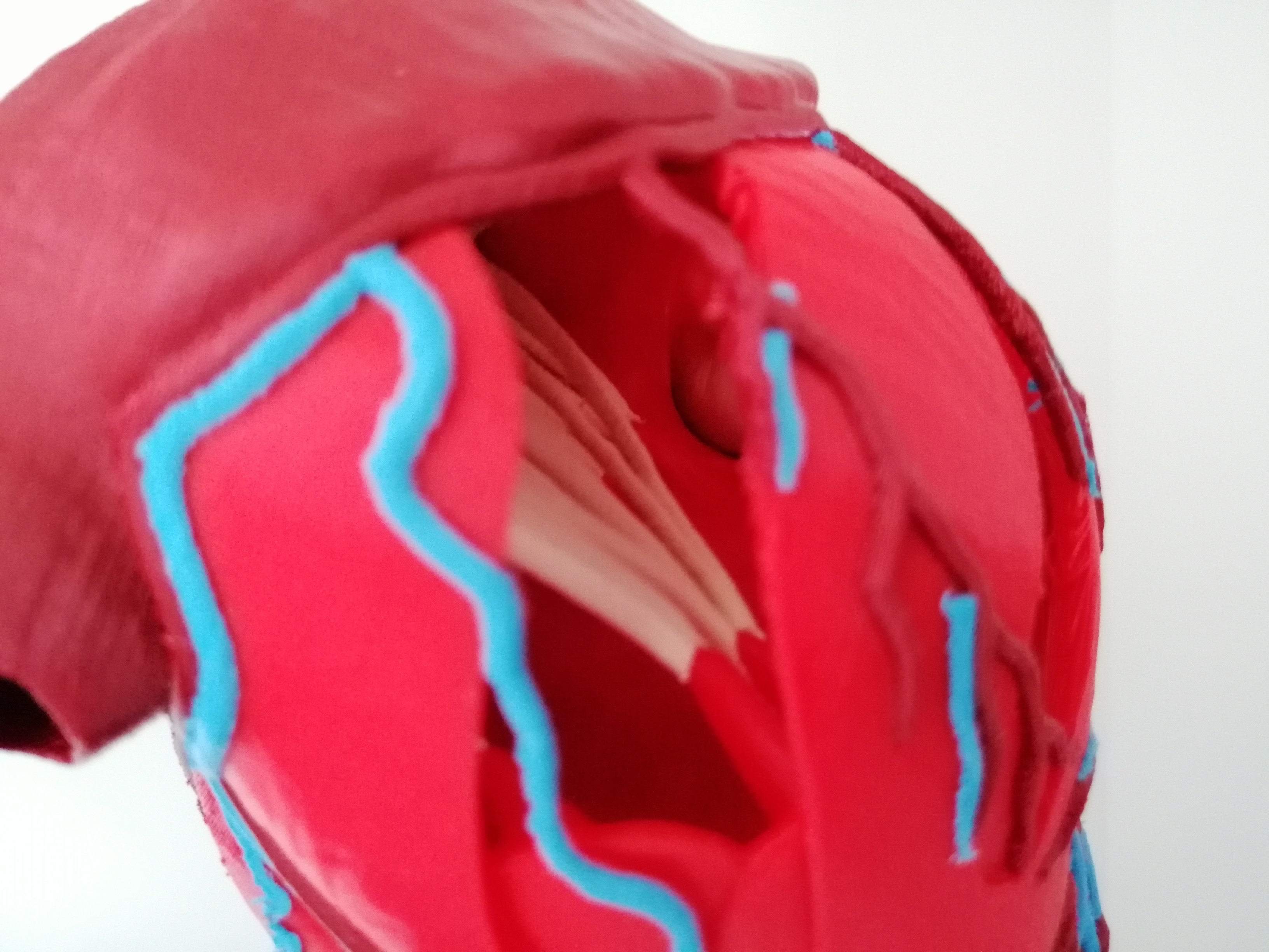Miniatura 5 do modelo 3D Anatomic Heart (multi material)