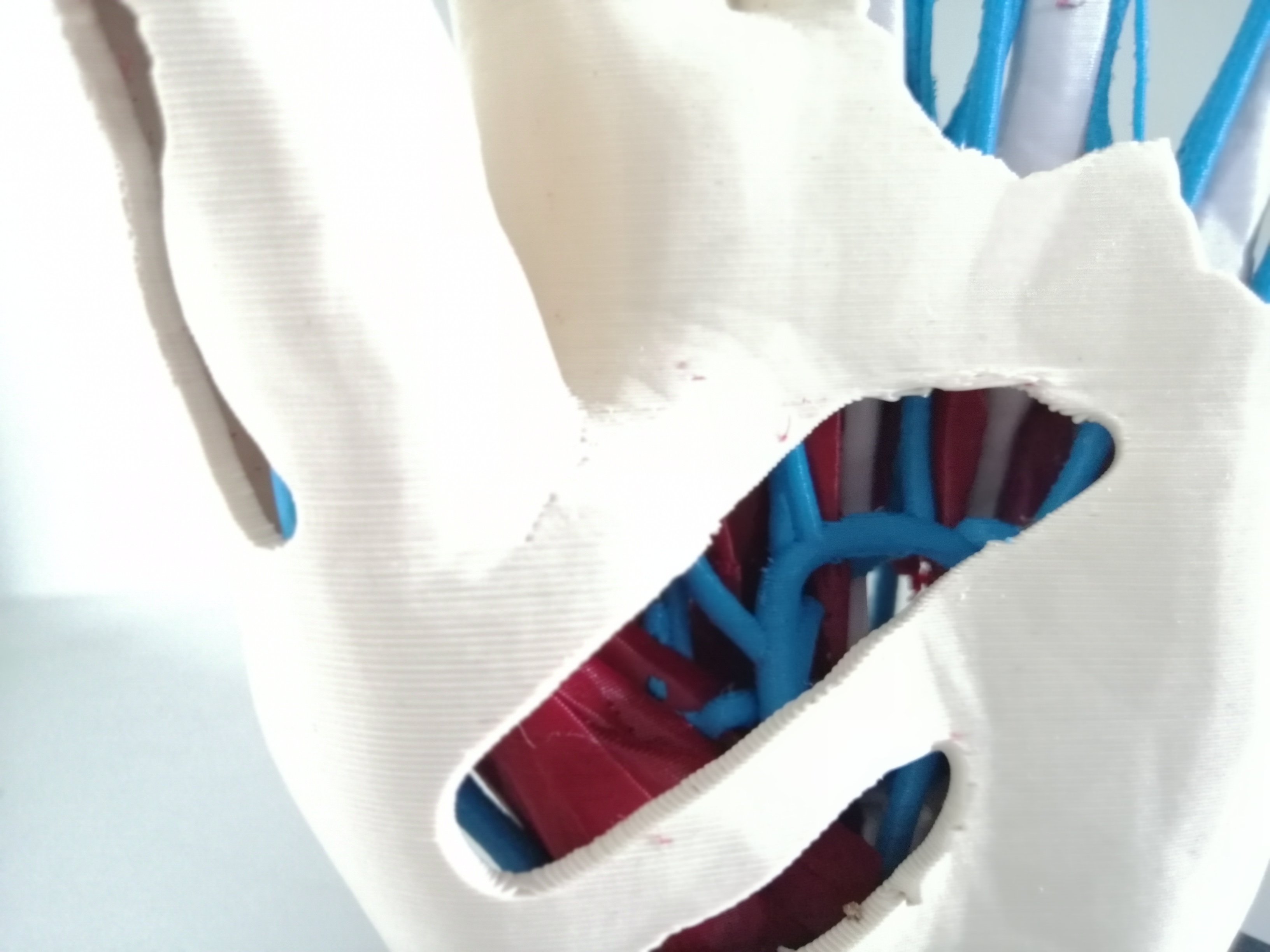 Miniatura 3 do modelo 3D Anatomic Hand (multi material)