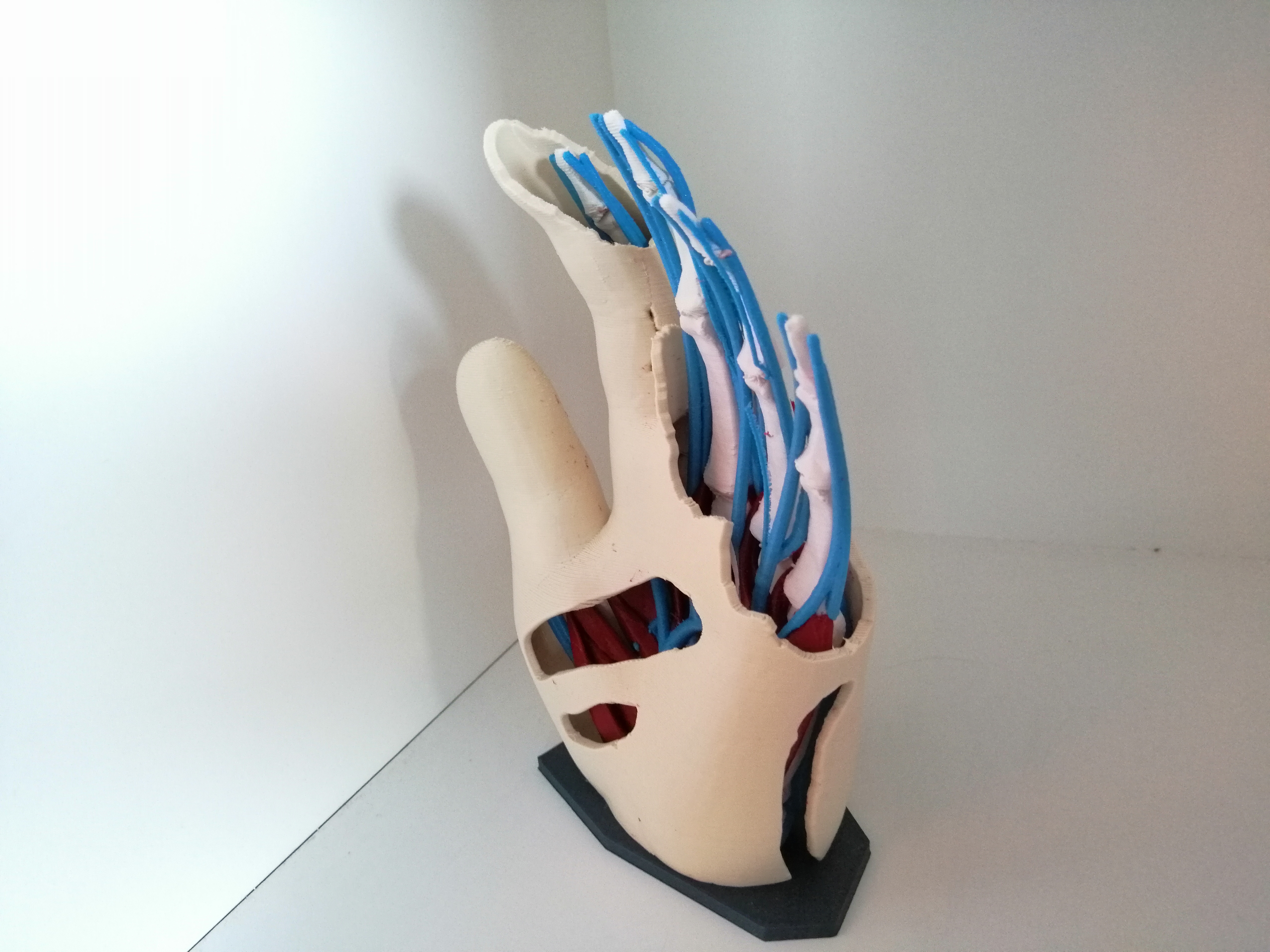 Miniatura 5 do modelo 3D Anatomic Hand (multi material)