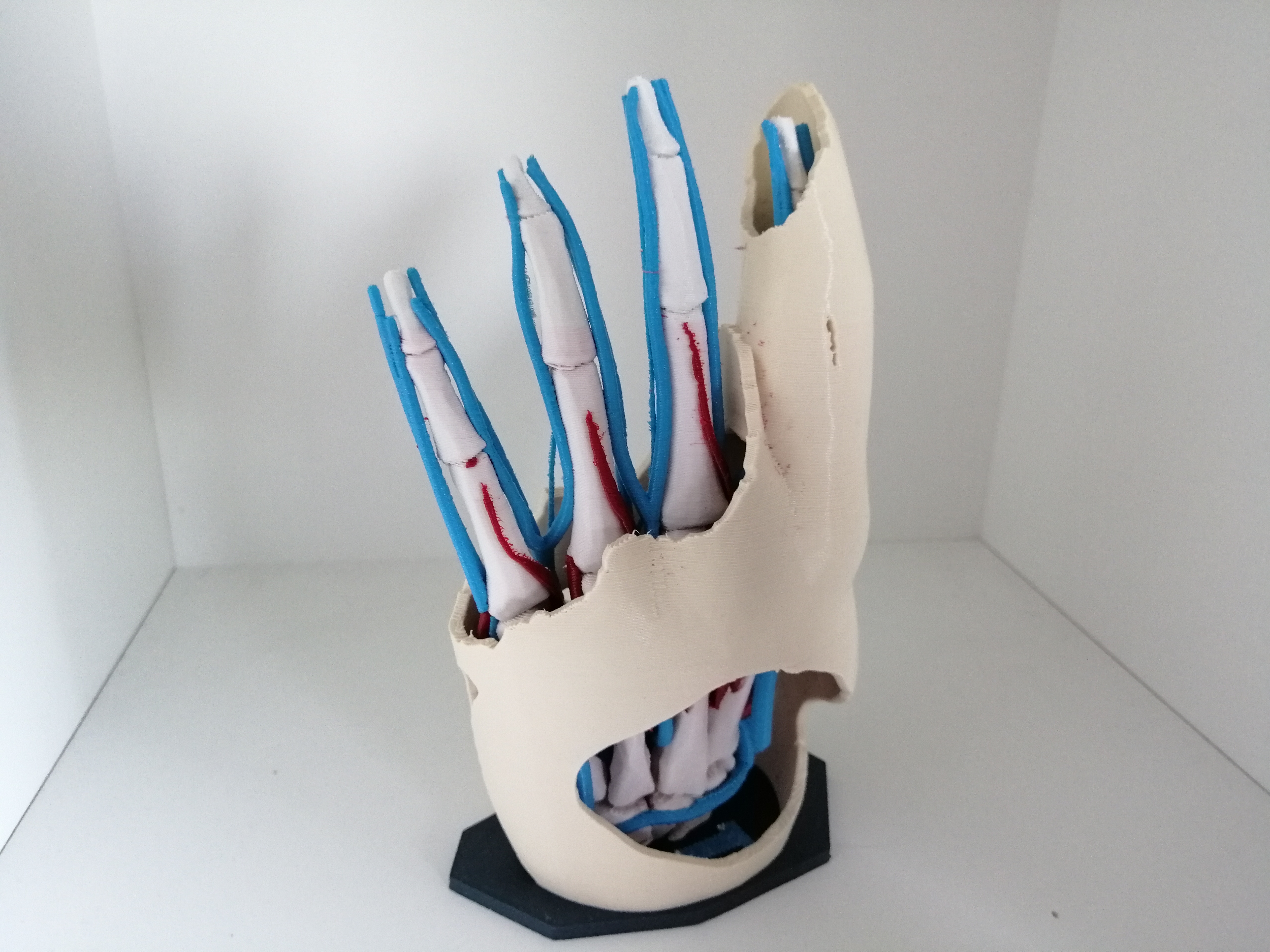Miniatura 4 do modelo 3D Anatomic Hand (multi material)