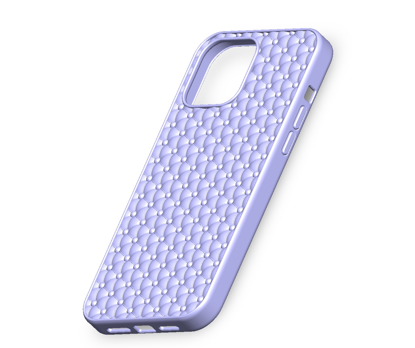 iPhone 13 Pro Case