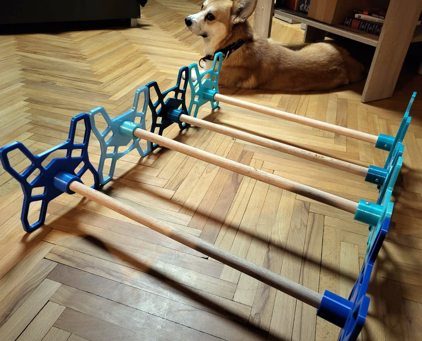 Training helper for small dogs / obstacles