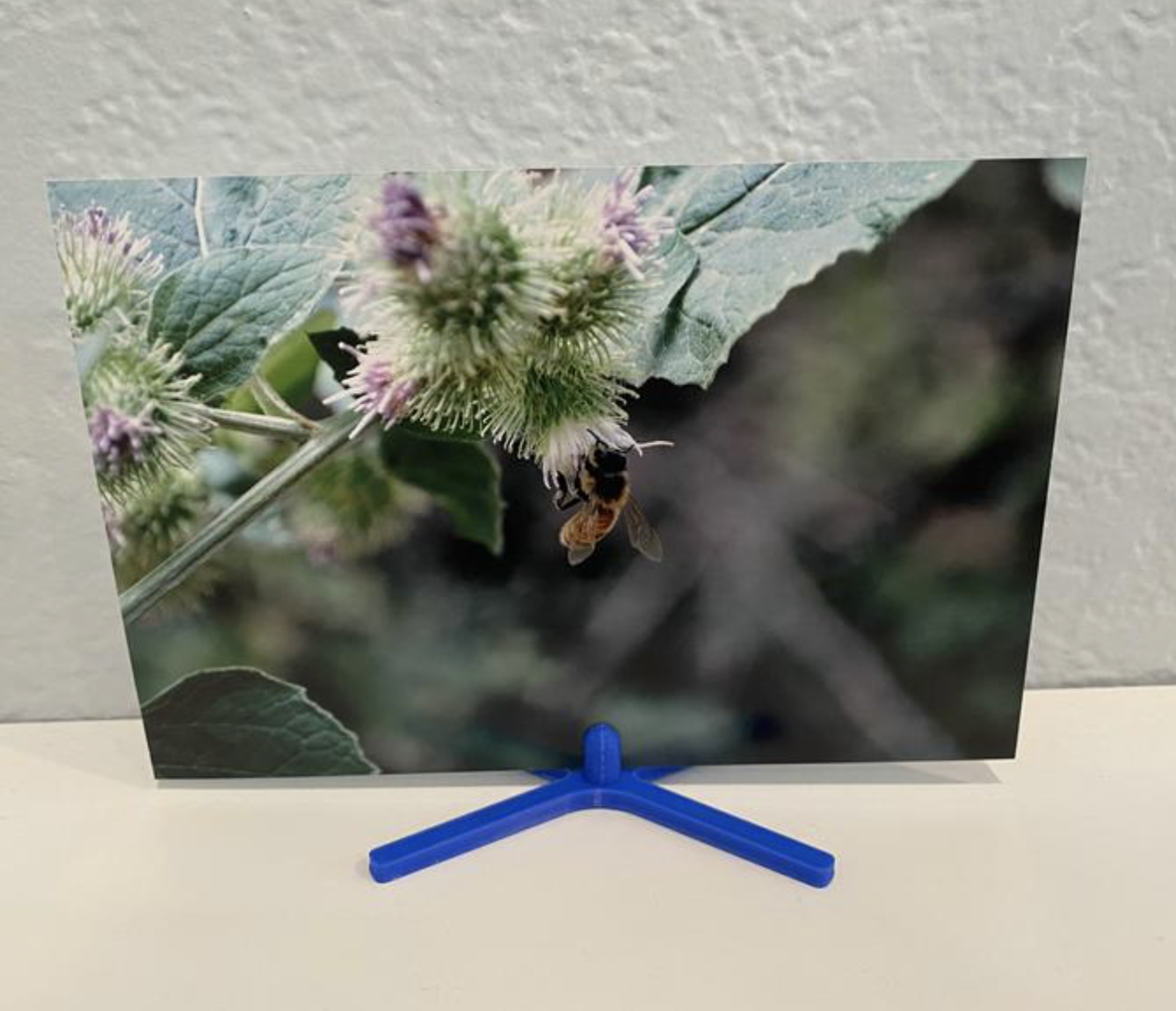 Miniatura 6 do modelo 3D Photo Holder