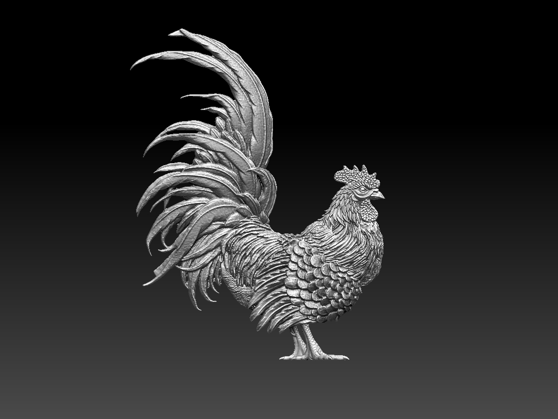 rooster — thumbnail 3