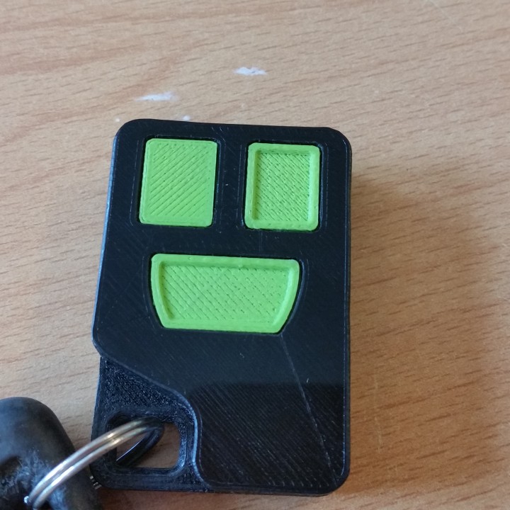 Remote case for a Volvo S70 2000