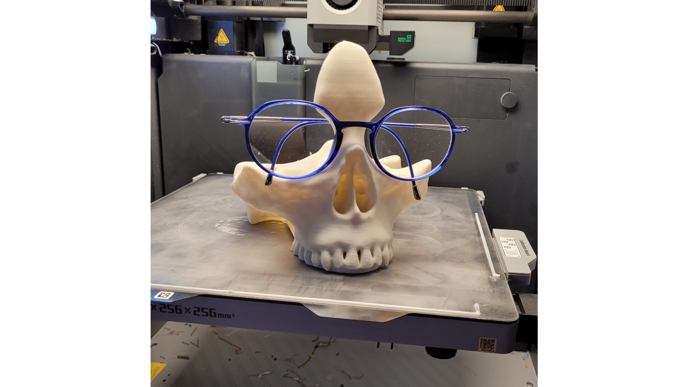 Skull-Glasse-holder-Remix