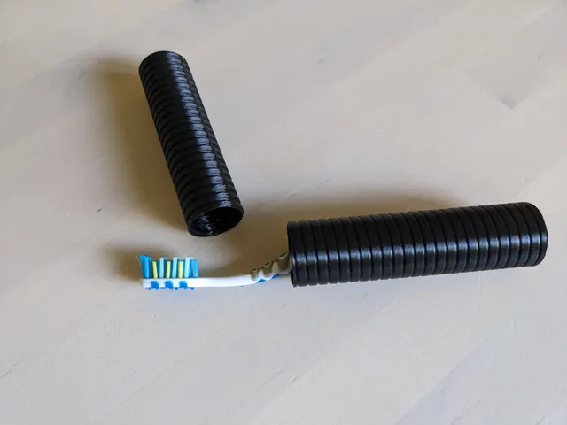 toothbrush travel case