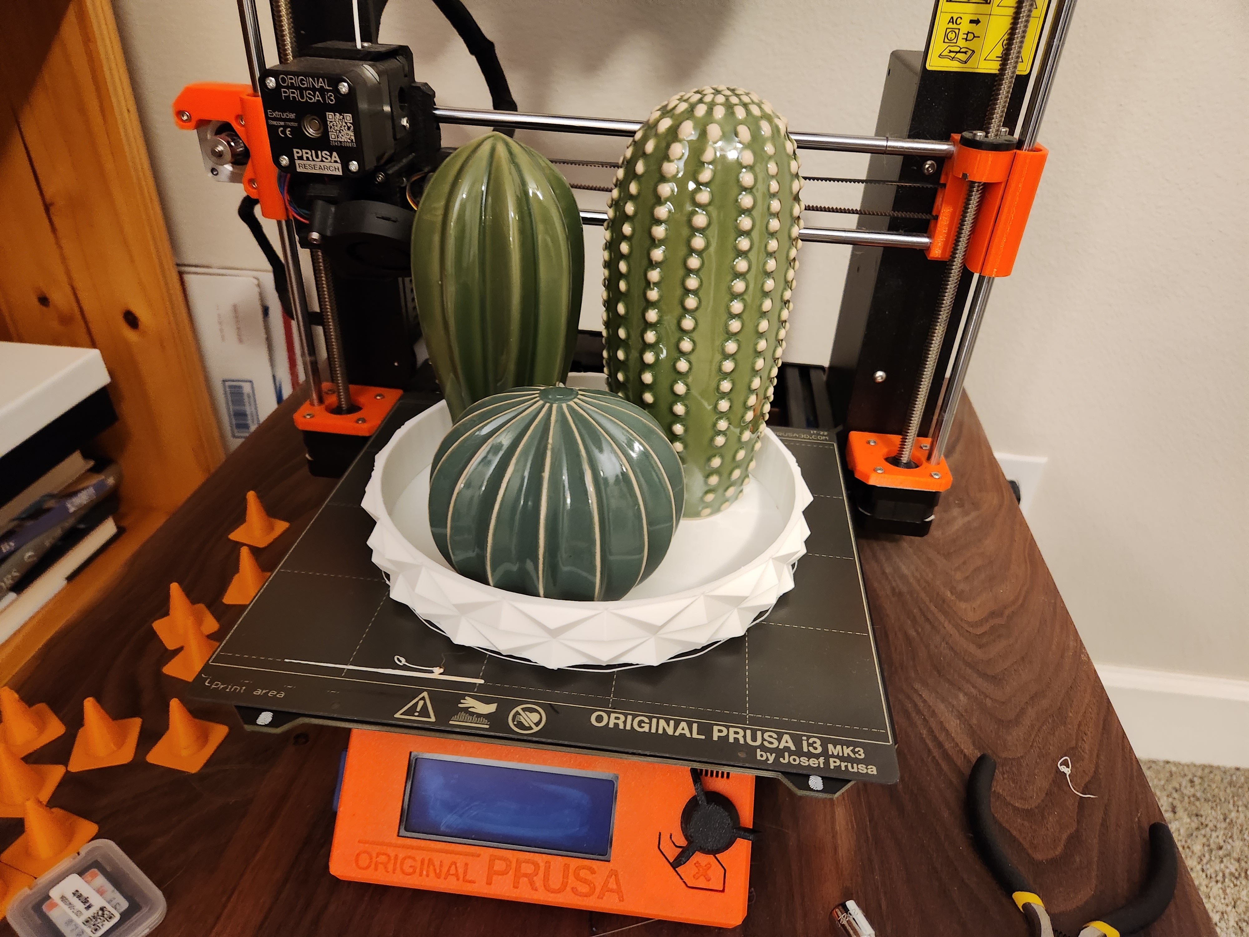 Cactus Pot