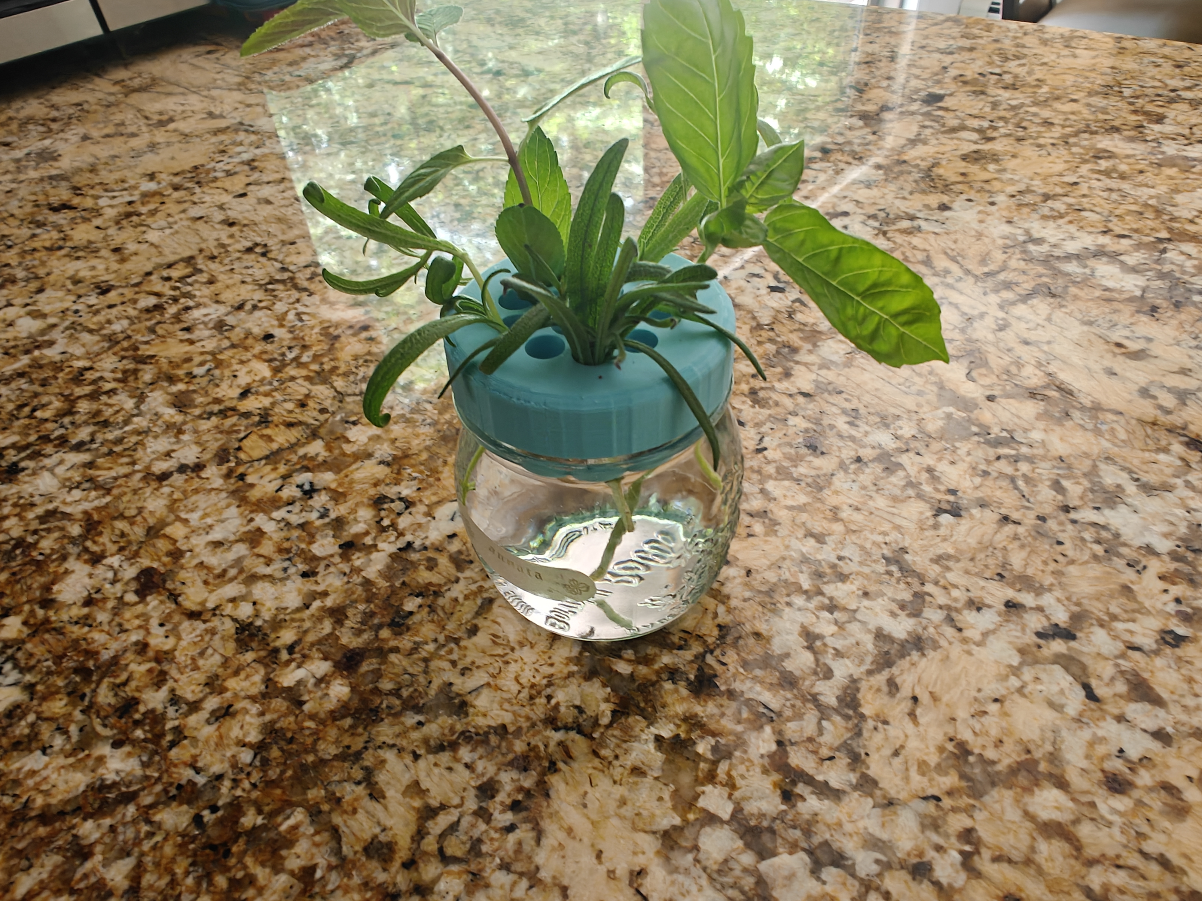 Standard Mouth Mason Jar Propagation Lid