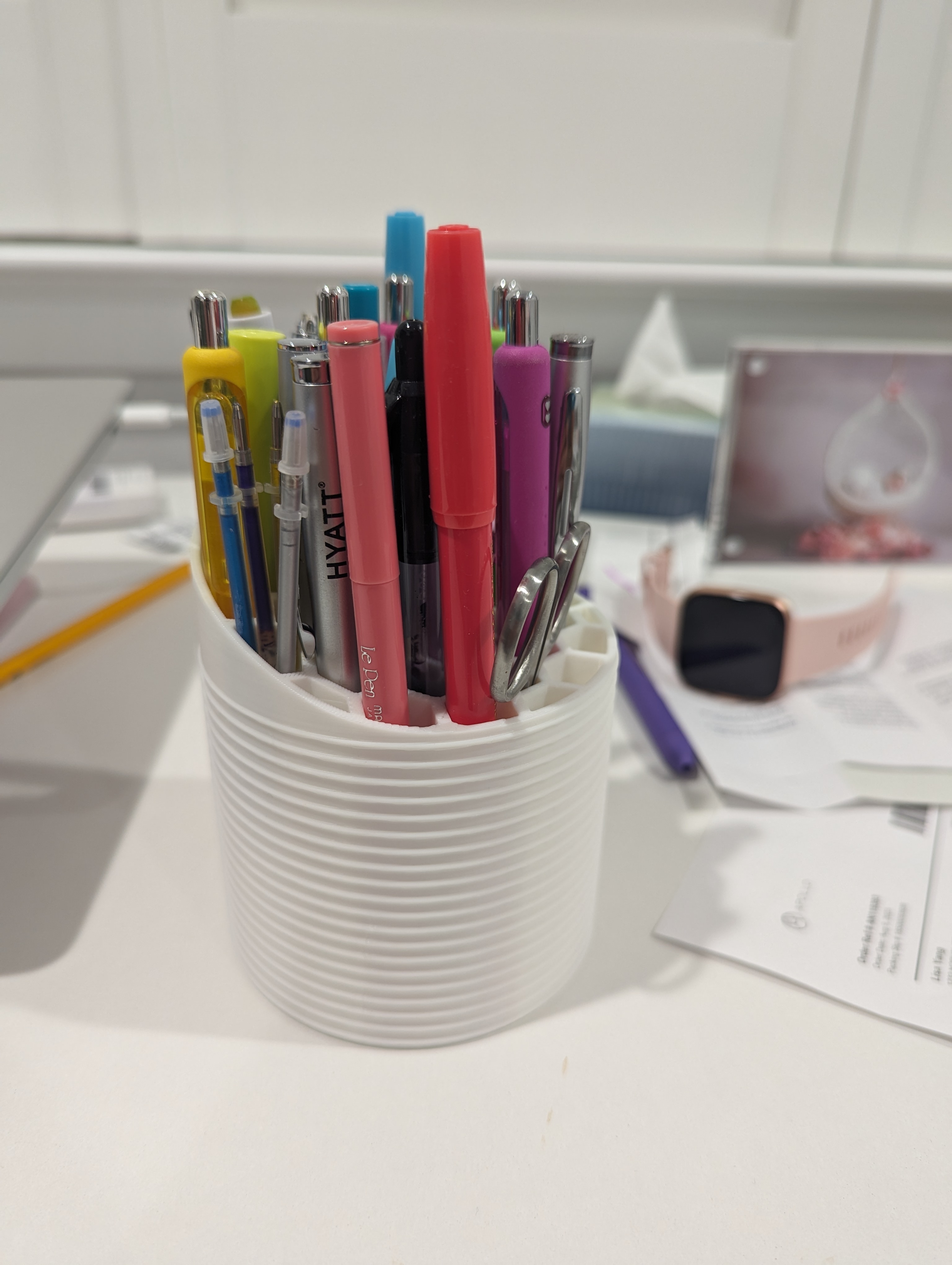 Stylish Pen and Pencil Holder