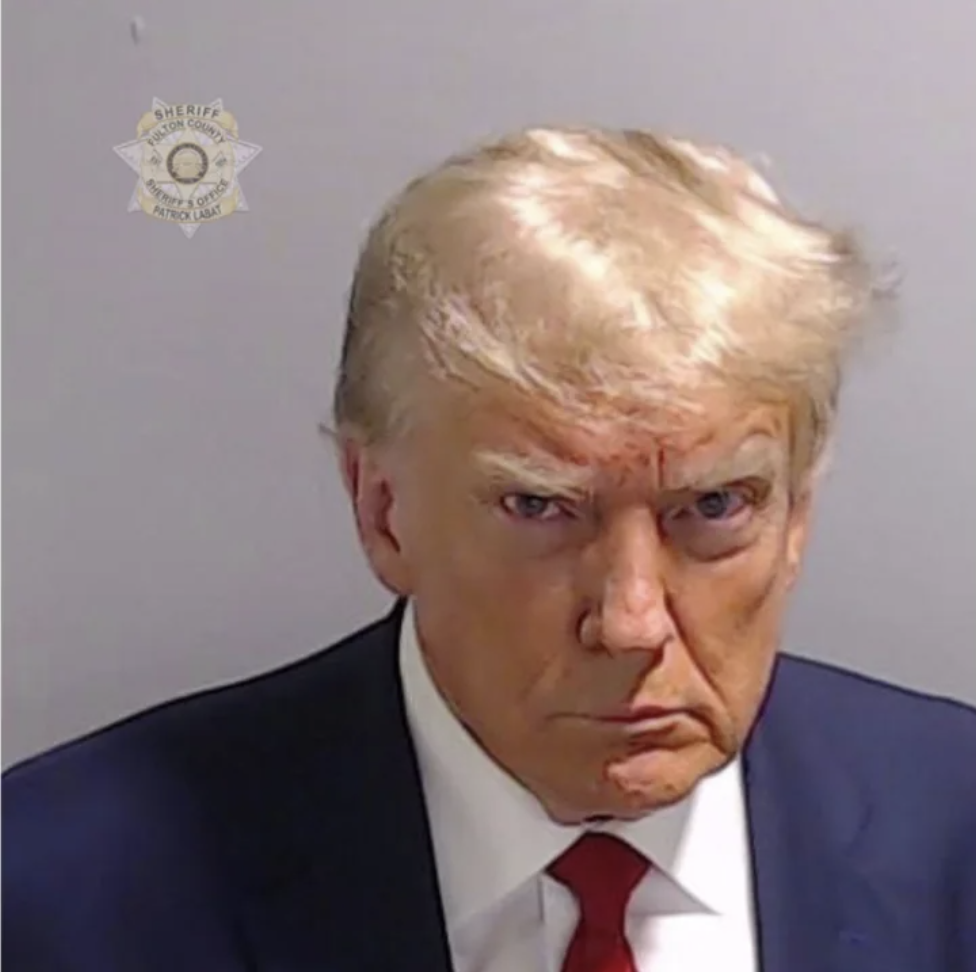 Trump Mugshot Nightlight by davemoneysign | Download free STL model ...