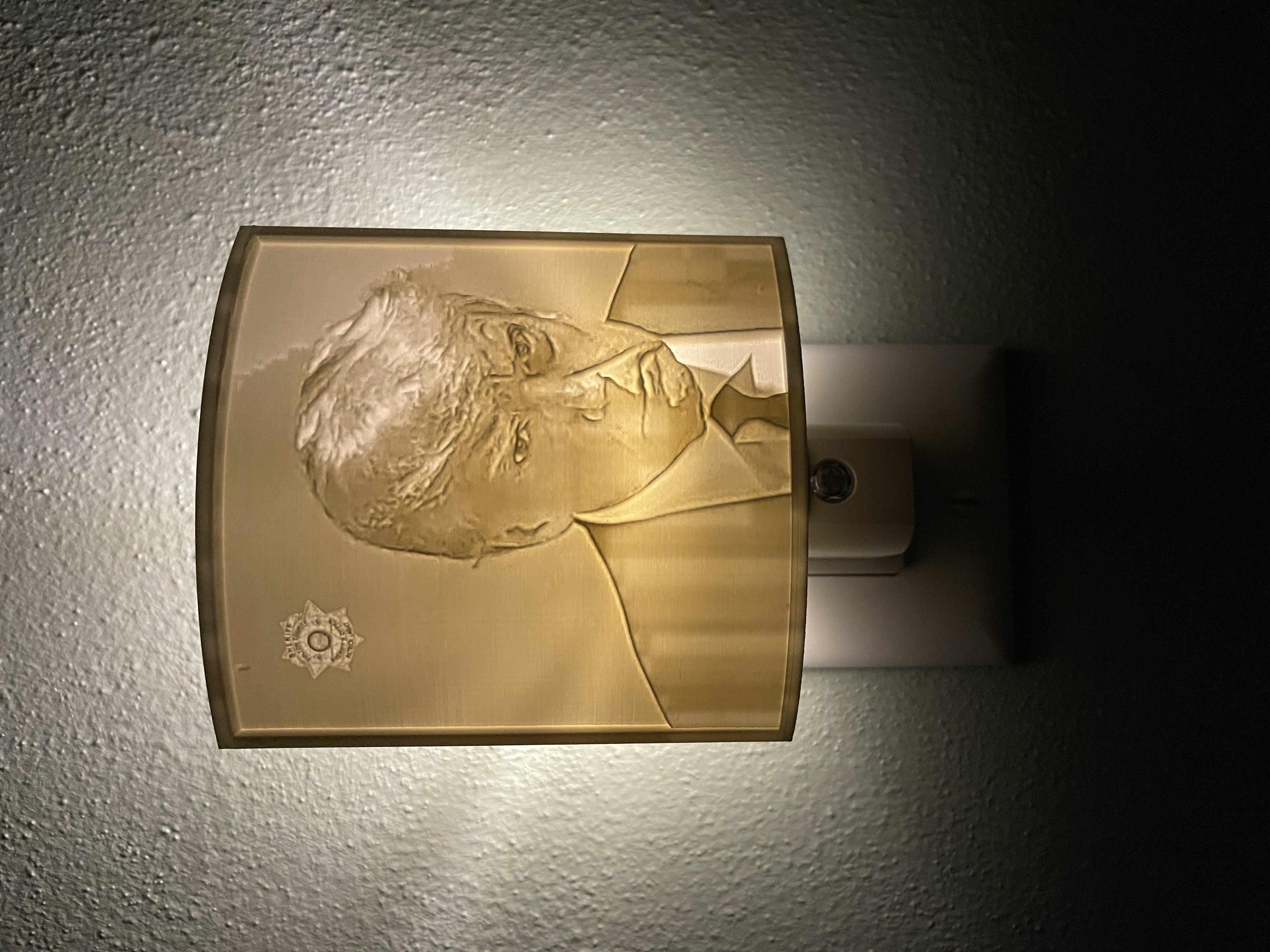 Trump Mugshot Nightlight