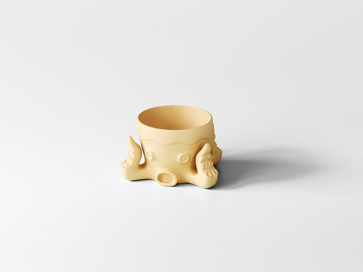 Egg Holder Octopus