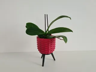 Mini Tripod Planter
