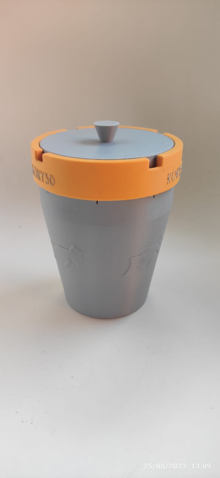Miniatura 4 do modelo 3D NoWind