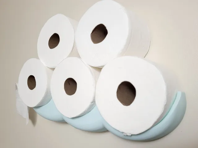 Toilet Paper Cloud