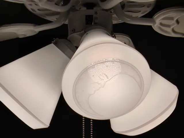 Lampshade for ceiling fan