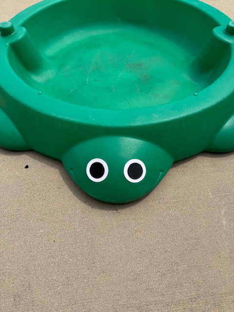 Turtle Sandbox Eyes