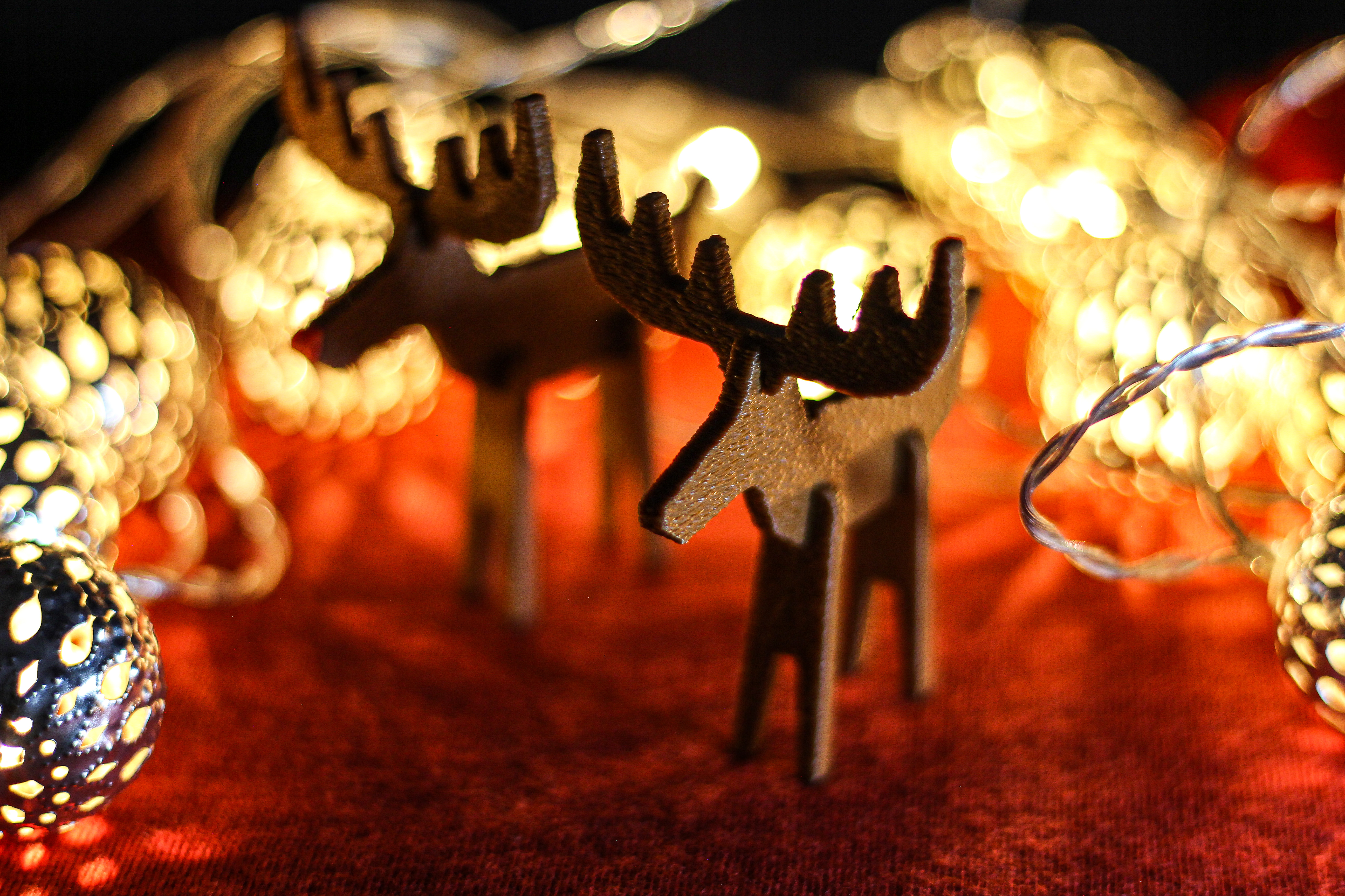 Reindeer & Rudolph — thumbnail 8