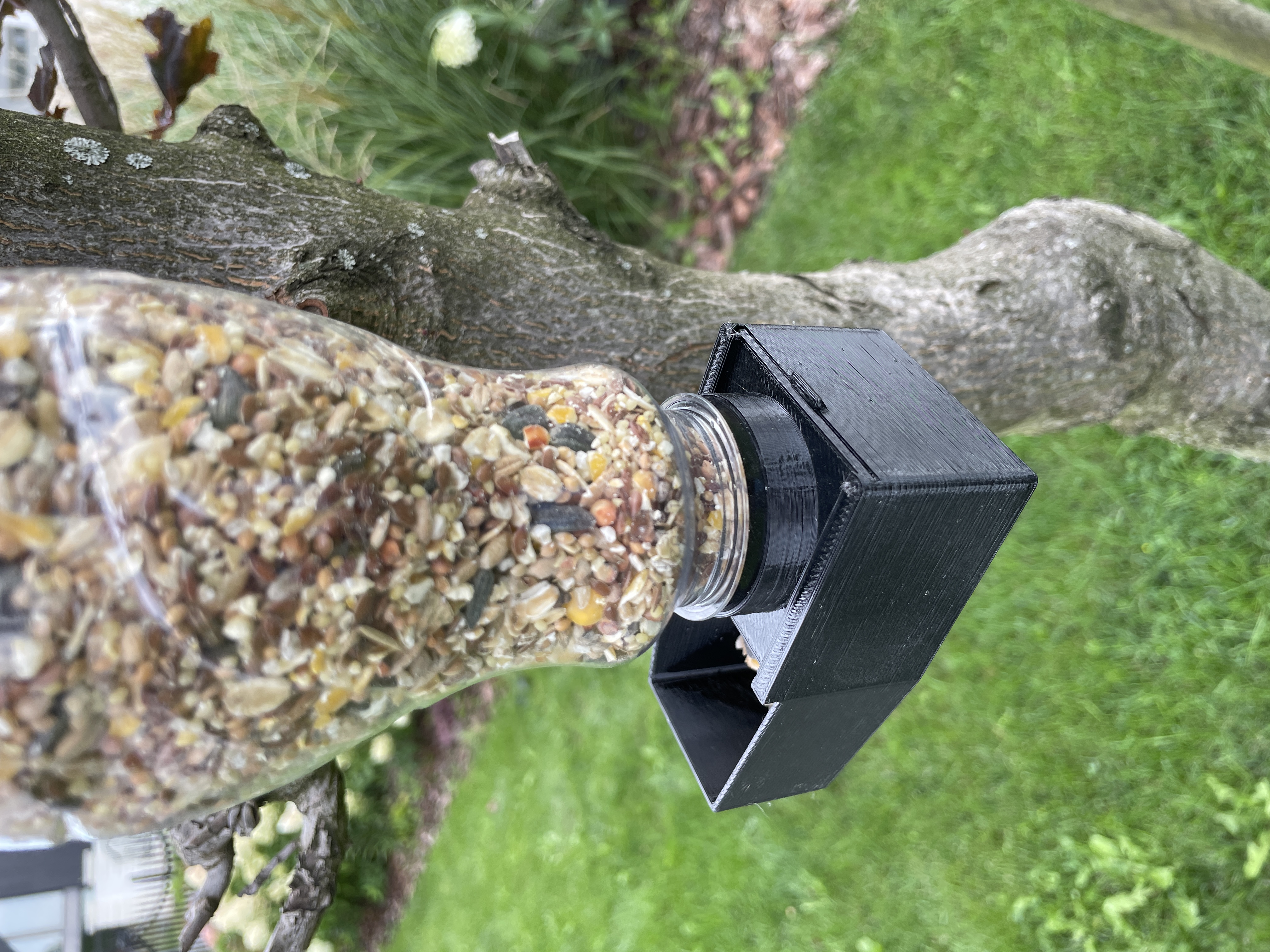 Miniatura 3 do modelo 3D Modular bottle bird feeder multiple threads