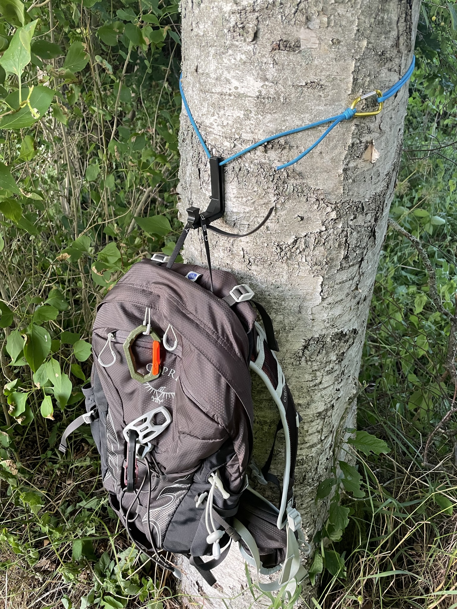 Hiking hook