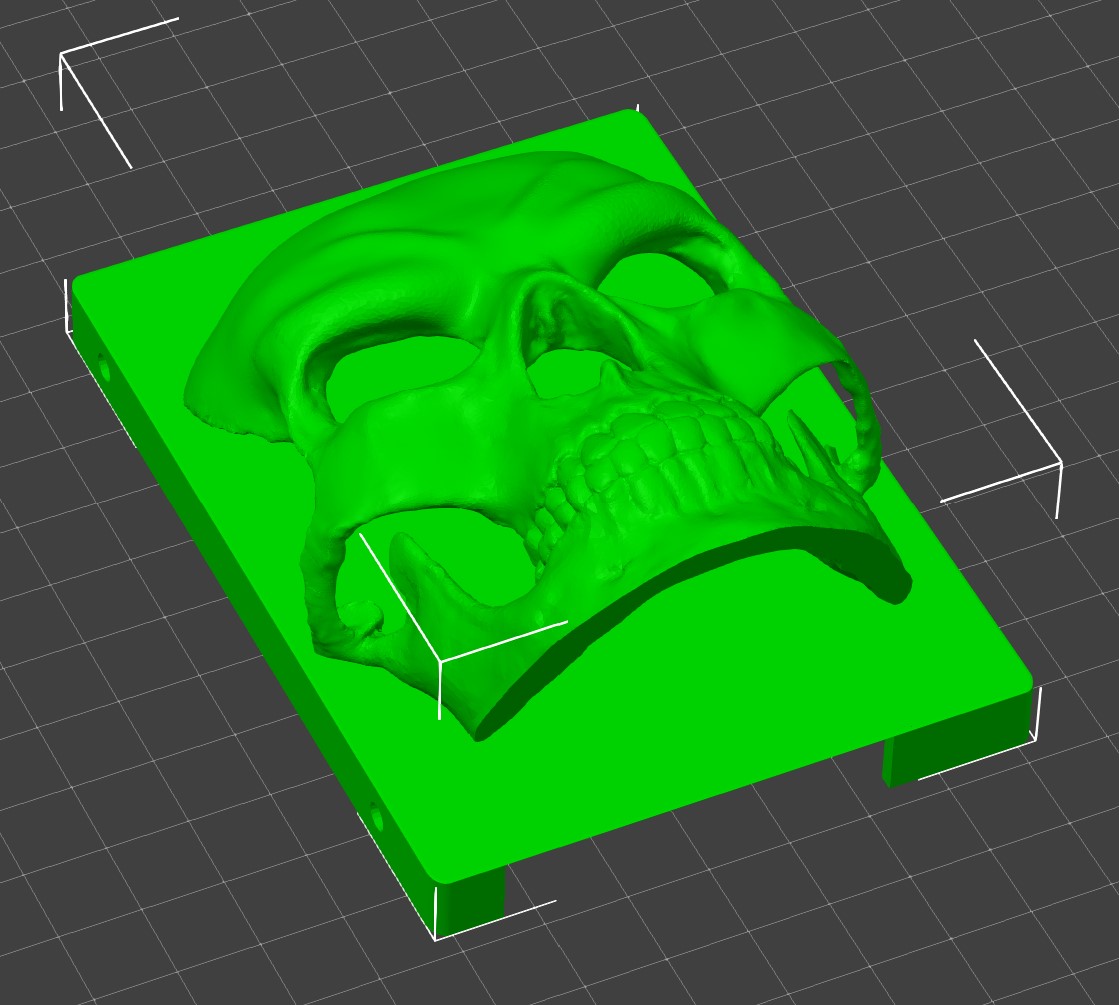 3d skull