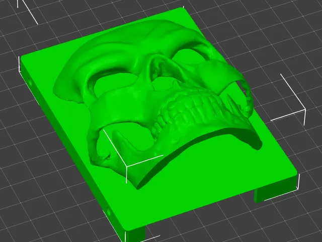 3d skull
