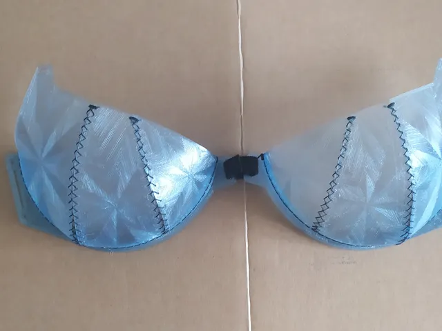 Bra