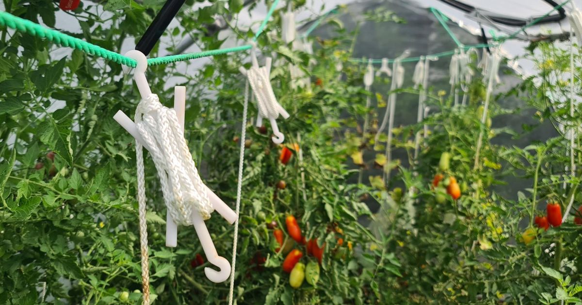 Tomato hooks for greenhouses by Alego Download free STL model