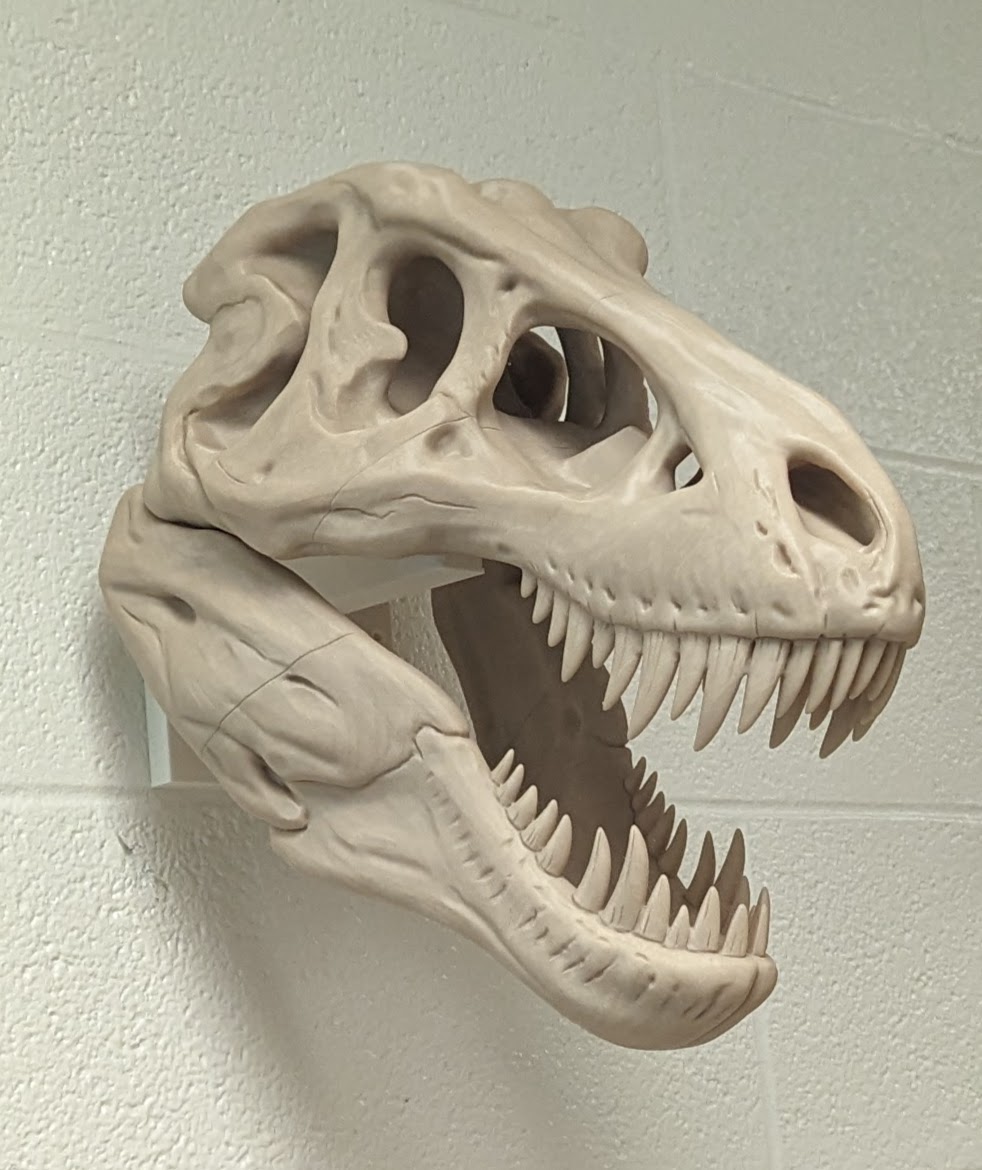Threaded wall mount for T-Rex Skull Double Size by PrintsforME ...